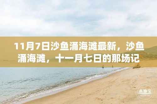 11月7日沙鱼涌海滩,记忆与影响的瞬间