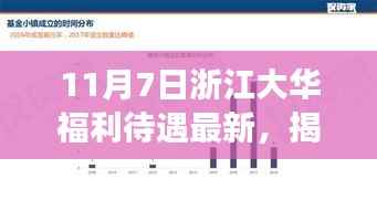 揭秘浙江大华福利待遇内幕,最新动态与深度解读(更新至11月7日)