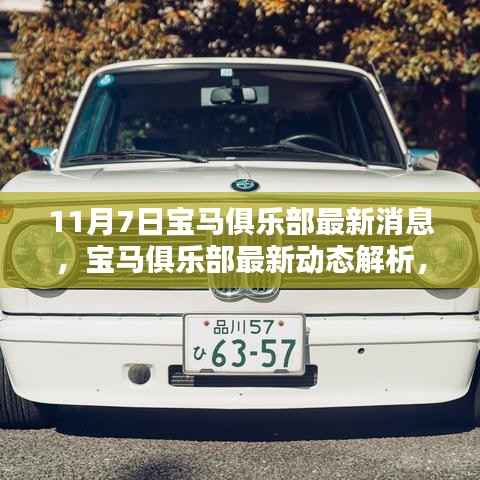 11月7日宝马俱乐部最新动态深度解析,聚焦新消息,某某观点独到阐述