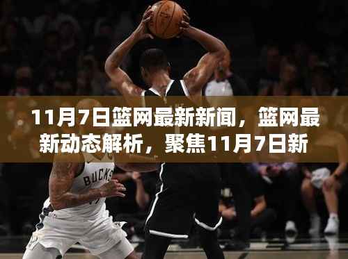 11月7日篮网新闻速递,最新动态解析与深度观点聚焦