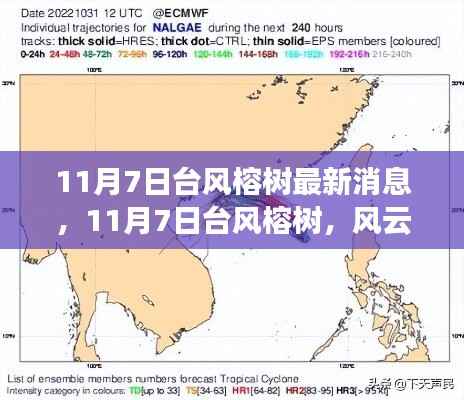 台风榕树最新动态，风云再起之时