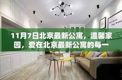 北京最新公寓11月7日探秘,温馨家园,每日感受爱的拥抱