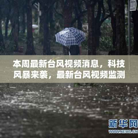 科技风暴来袭，最新台风视频监测系统智能预警，守护安全防线！
