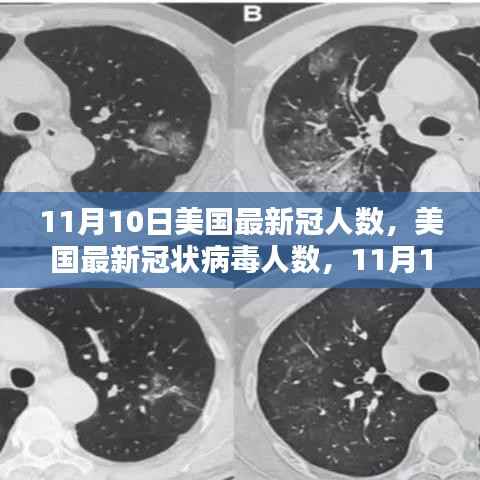美国最新冠状病毒人数,11月10日的回顾与影响分析