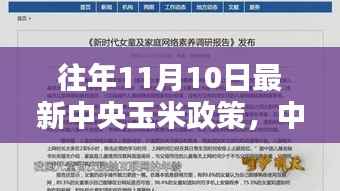 中央玉米政策详解与操作指南,以最新政策为例,探讨玉米市场趋势与操作策略