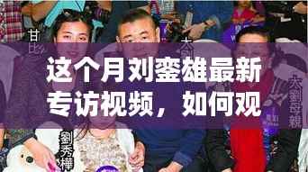 如何观看刘銮雄最新专访视频，详细步骤与独家体验分享