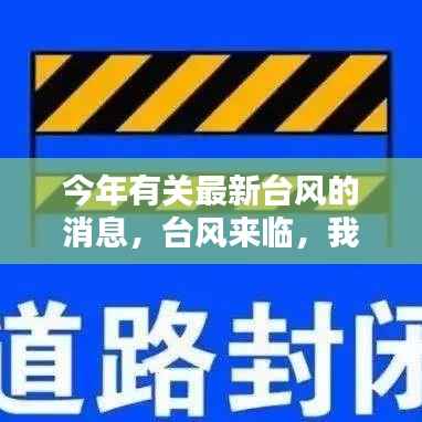 最新台风来袭,温馨避风港守护你我