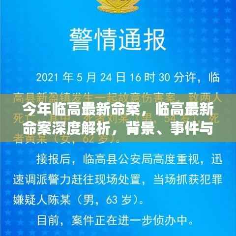 临高最新命案揭秘,背景、事件与深远影响
