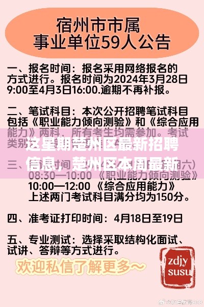 楚州区本周最新招聘信息概览,时代脉搏下的就业市场动态