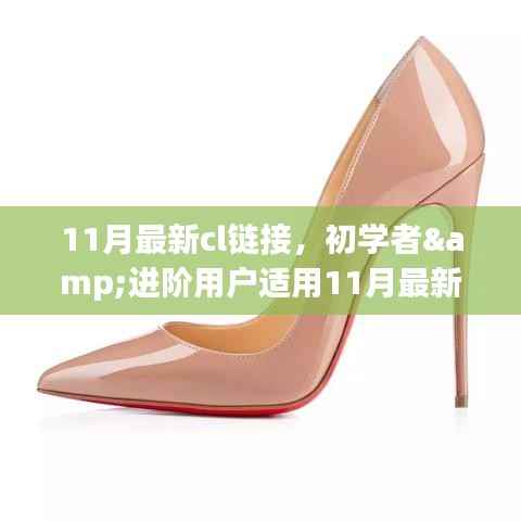 11月最新CL链接任务详解,从初学者到进阶用户的完成步骤