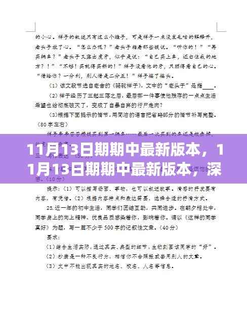 最新11月13日期期中版本深度解读与观点阐述