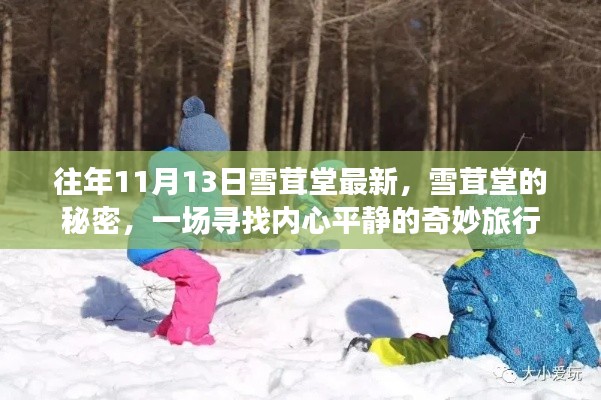 雪茸堂的秘密,寻找内心平静的奇妙旅程最新报道