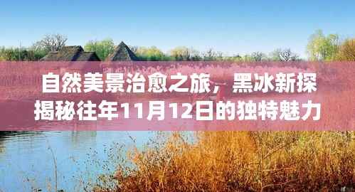 自然美景治愈之旅,黑冰新探揭秘往年11月12日的独特魅力