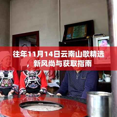 往年11月14日云南山歌精选,新风尚与获取指南
