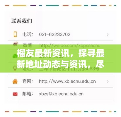 榴友最新资讯,探寻最新地址动态与资讯,尽在11月14日更新