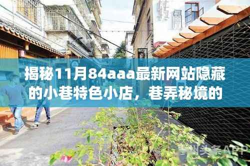 揭秘11月84aaa最新网站隐藏的小巷特色小店,巷弄秘境的探索之旅