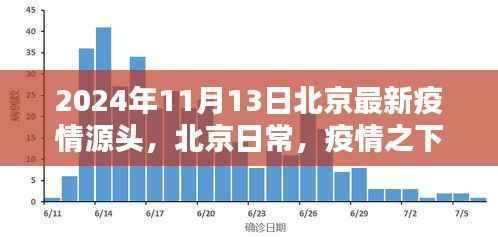 北京疫情最新动态,温情纽带与奇妙冒险在行动(2024年11月13日)