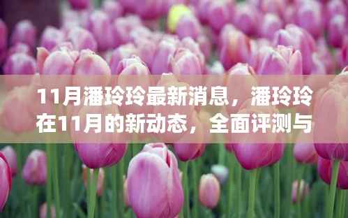 潘玲玲十一月最新动态,全面评测与深度介绍