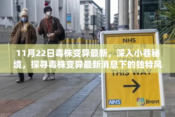 探寻秘境小店,毒株变异最新消息下的独特风味体验