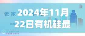 揭秘未来科技浪潮，2024年有机硅新品引领智能生活革新之旅