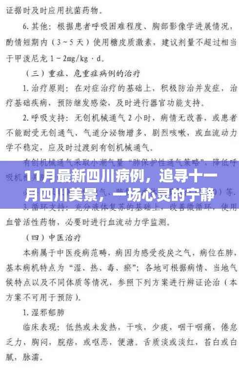 四川十一月病例追踪与美景探索,心灵宁静之旅