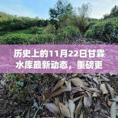 甘霖水库智能系统全新升级，科技魅力下的智能生活新篇章（体验更新动态）