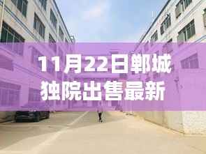 揭秘郸城独院出售最新消息及其背后的故事与深远影响(独家报道)