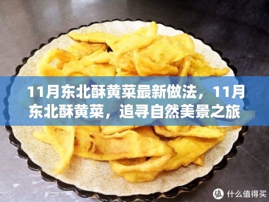 11月东北酥黄菜,美食与美景的双重追寻,解锁心灵宁静密码
