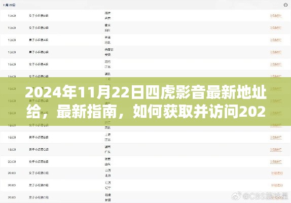 2024年11月22日四虎影音最新访问指南及地址分享