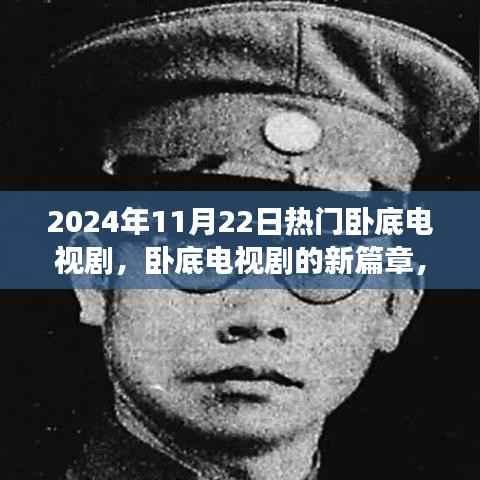 2024年热门卧底电视剧的魅力与争议,新篇章的探讨