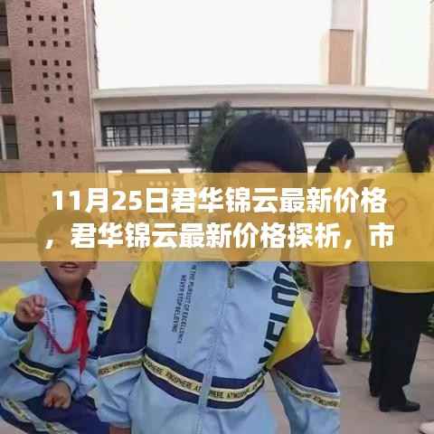 君华锦云最新价格解析,市场走势与个人观点观察(11月25日)
