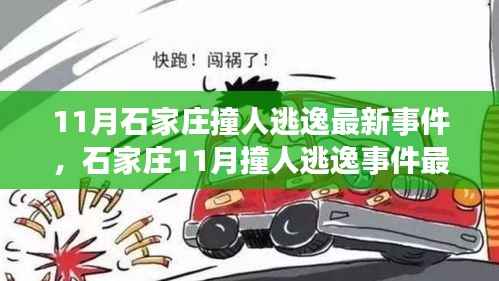 石家庄11月撞人逃逸事件最新进展揭秘,处理步骤与技能学习指南全解析