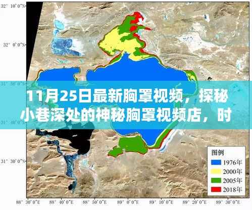 涉黄警告,揭秘神秘胸罩视频店,时尚之下隐藏的不堪真相