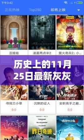 灰灰影音新里程碑，历史上的11月25日回顾与前瞻