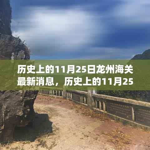 历史上的11月25日龙州海关最新消息深度解读,探析背后的影响与启示