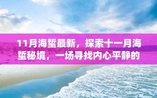 十一月海蜇秘境探索,深海之旅与内心平静的追寻