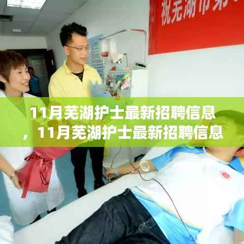 11月芜湖护士招聘信息大全,最新岗位、全面评测与介绍