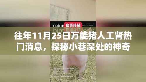 探秘神奇小店,万能猪人工肾热门资讯下的隐藏瑰宝揭秘