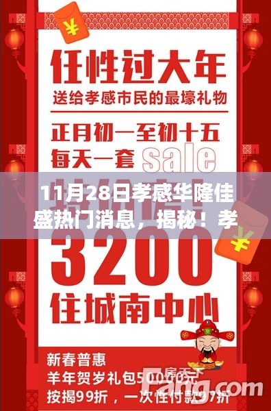 孝感华隆佳盛最新动态揭秘,11月28日震撼更新!