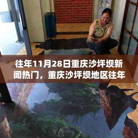 重庆沙坪坝地区历年11月28日新闻热点深度解析与回顾
