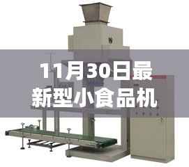 探秘小巷深处的独特风味,揭秘隐藏的美食宝藏与最新型小食品机器大全