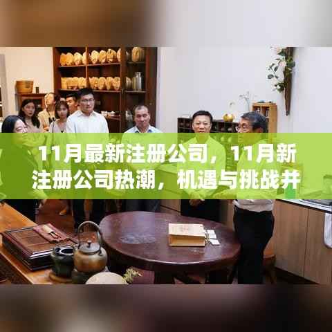 11月新注册公司热潮,机遇与挑战并存