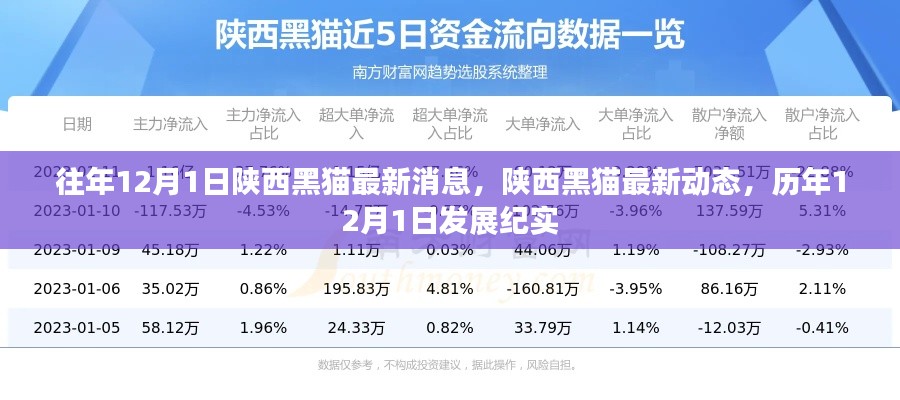 陕西黑猫历年12月1日发展纪实与最新动态