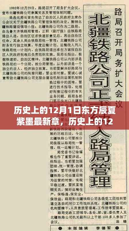揭秘东方辰夏紫墨最新章节背后的故事,历史上的12月1日揭秘与发布故事深度解析