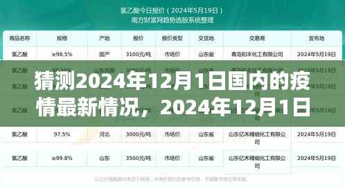 2024年12月1日疫情新篇章,国内最新疫情预测与展望