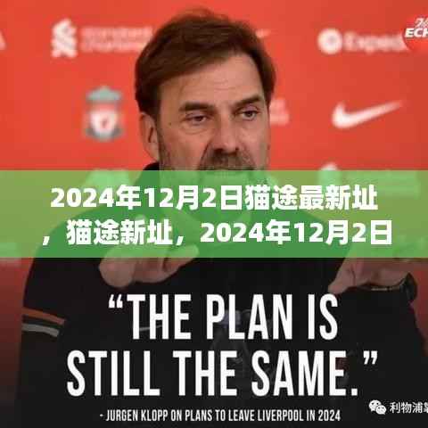 猫途新址里程碑事件,2024年12月2日新址启用