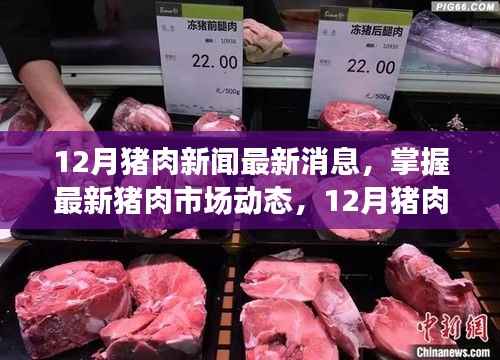 12月猪肉市场动态，最新消息、全方位解读与应对指南