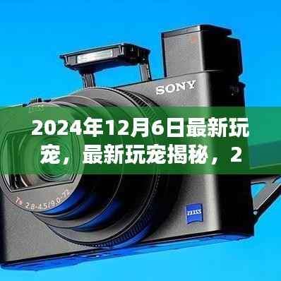 揭秘最新潮流宠物,2024年12月6日潮流宠物的崛起