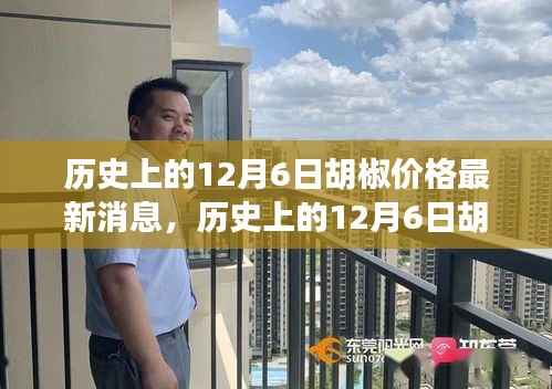 历史上的12月6日胡椒价格动态及最新消息全解析,入门指南