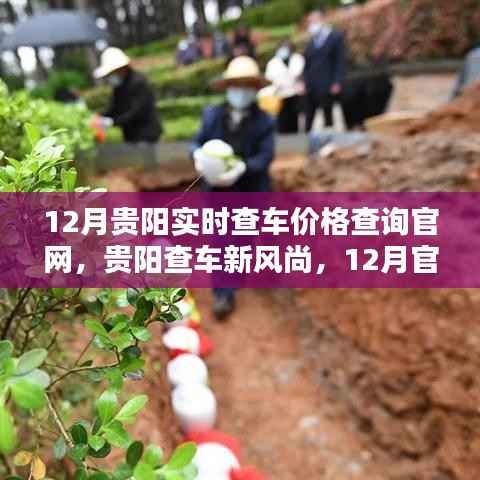 贵阳12月实时查车价格平台,新风尚下的官方查询渠道